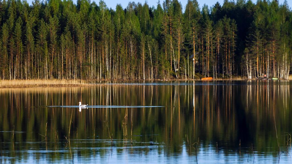 Rajan Loma Cottages Joensuu Dış mekan fotoğraf