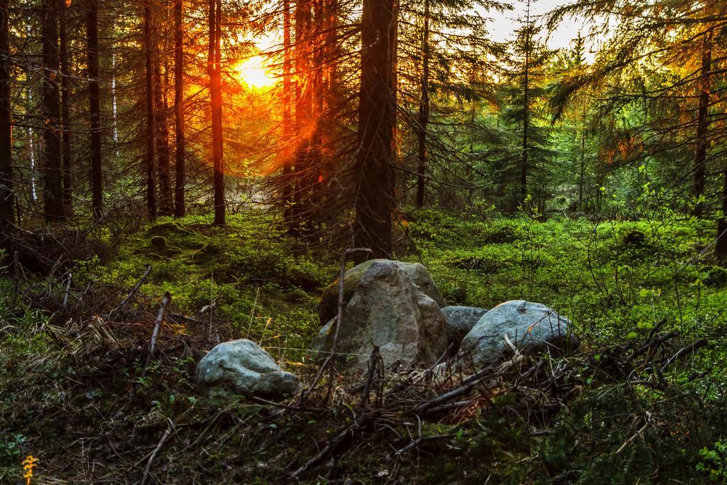 Rajan Loma Cottages Joensuu Dış mekan fotoğraf