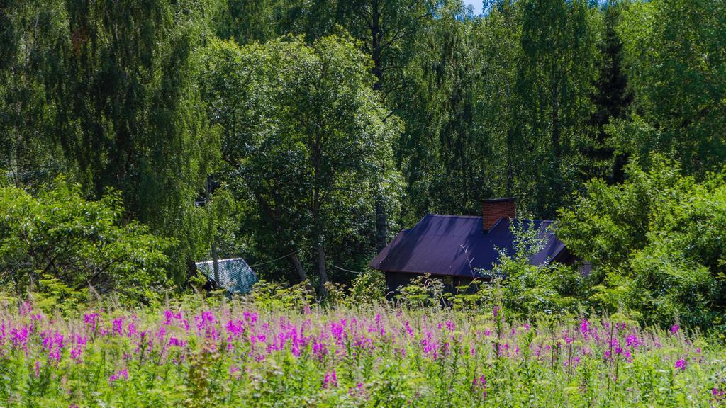 Rajan Loma Cottages Joensuu Dış mekan fotoğraf