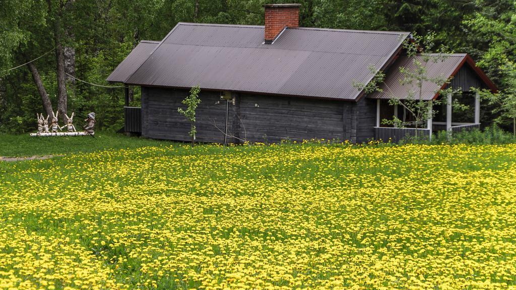 Rajan Loma Cottages Joensuu Dış mekan fotoğraf