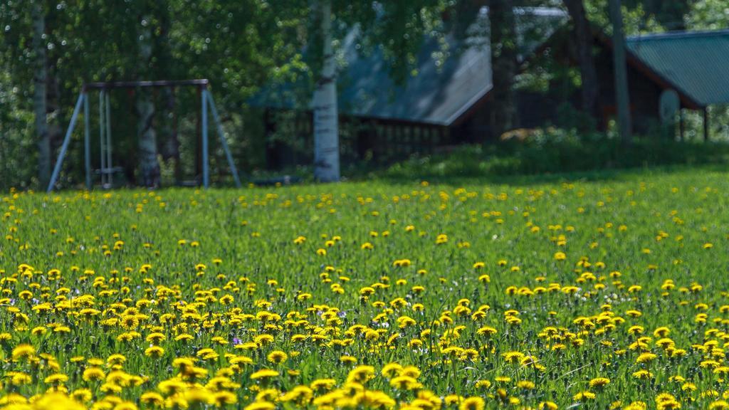 Rajan Loma Cottages Joensuu Oda fotoğraf